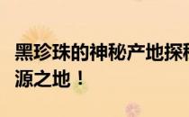 黑珍珠的神秘产地探秘：揭示最神秘的珍珠起源之地！