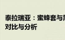 泰拉瑞亚：蜜蜂套与黑曜石套哪个更优？装备对比与分析