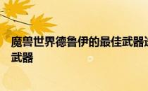 魔兽世界德鲁伊的最佳武器选择：探寻最适配德鲁伊的战斗武器