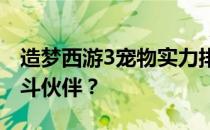 造梦西游3宠物实力排名大揭秘，谁是最佳战斗伙伴？