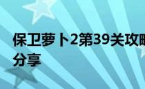 保卫萝卜2第39关攻略大全：通关秘籍与技巧分享
