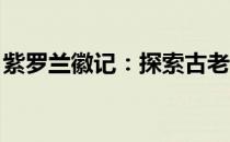紫罗兰徽记：探索古老神秘印记的起源与魅力