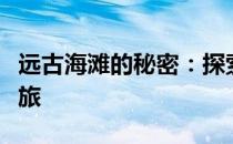 远古海滩的秘密：探索神秘海洋遗迹的奇幻之旅