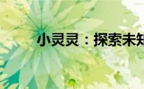 小灵灵：探索未知世界的神奇伙伴