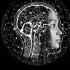深度学习的变革性成就让一些学者提出了人工智能可以像人类一样思考吗