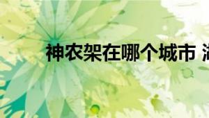 阿尔及利亚是什么人种